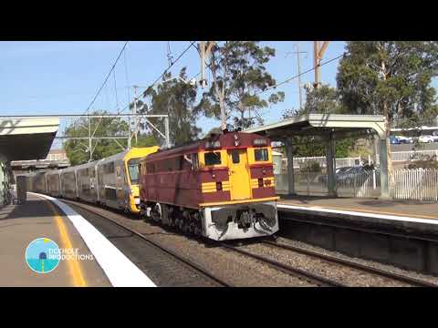 Diesel Locomotive 4486 - Waratah Set Transfer - November 2012