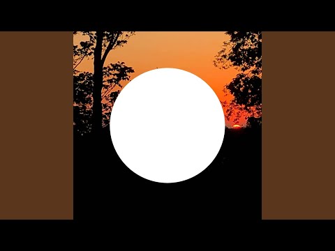 I Feel Like That Was Me Being Beamed up to Heaven and Then a Dolphin Intercepted