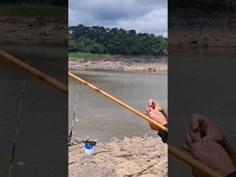 3 pescaria de caiaque dessa vez estamos em porto vitoria PR