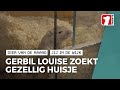 Gerbil Louise zoekt baasje voor haar laatste jaren