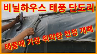 태풍링링 맞이 비닐하우스 단도리중 입니다 태풍경로 태풍위력 태풍피해  태풍안전교육