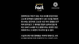 Download lagu 피해자인줄 알았던 그 사람이 꽃뱀이었다는걸 알고서 충격 받앗던 그날이 떠오른다 mp3