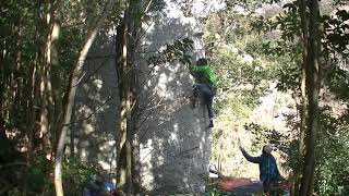 豊田 長さん d(1～2Q)