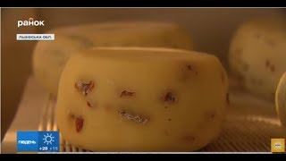 Собственное дело. Домашняя сыроварня
