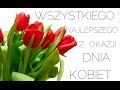 Bartek Staniszewski - Najwięcej witaminy 