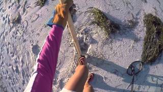 Beach Metal Detecting Hunt - 16 Jan 2016