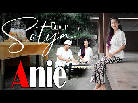 cover-sutyo-voc-anie-dampit-tv