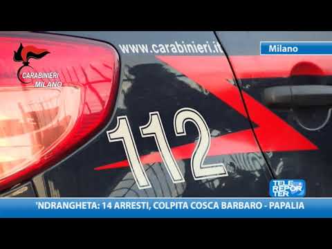 'Ndrangheta: 14 arrests in Barbaro-Papalia clan