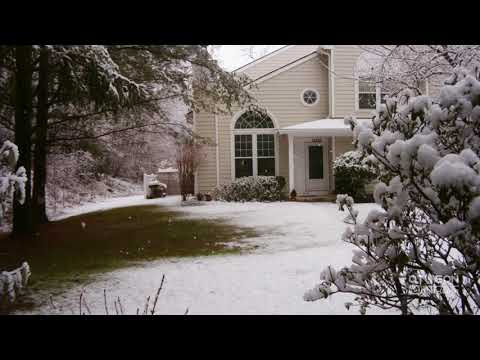 Snow Timelapse | February 7, 2021 | Winter Storm Quade | Maryland