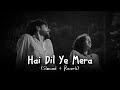 Hai Dil Ye Mera (slowed+reverb) | (#lofi)
