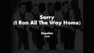 Sorry  (I Ran All The Way Home) - Impalas - 1959