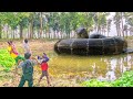 Anaconda Snake Attack On School Boy In Forest