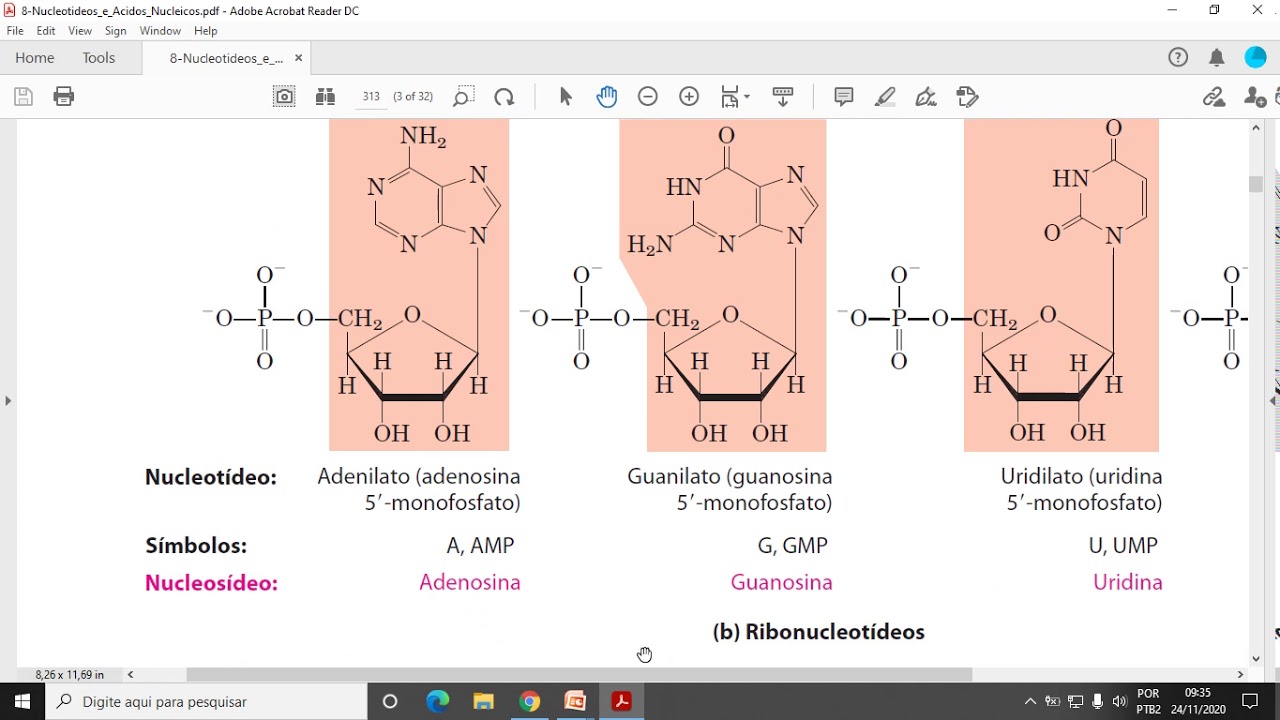 Aula13 ACH5542 - Nucleotídeos e Ácidos Nucleicos