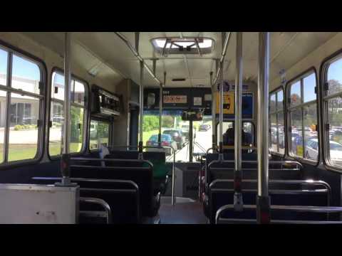 Ex-STA Newcastle 2984 - Mercedes-Benz O305 (W3D)