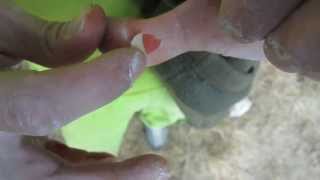 Herculane Climbing Open 2013 momente