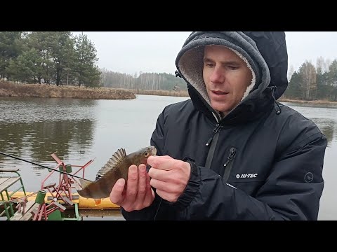 Drapieżniki biorą. Tylko jakie ? / Okonie na Bocznego Troka / Wędkarstwo Spinnigowe