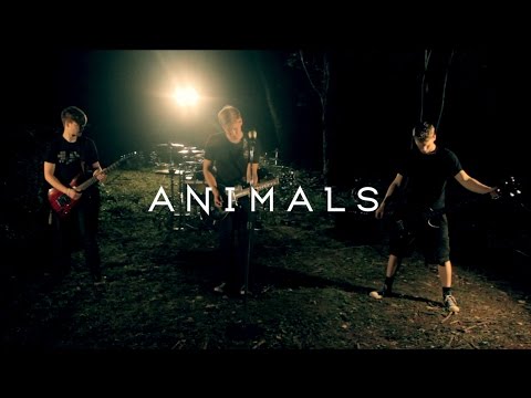 Dear Agony - Animals (Official Music Video)