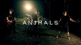 Dear Agony - Animals (Official Music Video)