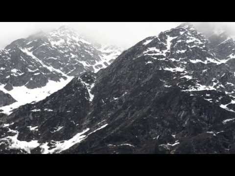 "Konferenz der Vögel" ein Film von Ayten Mutlu Saray