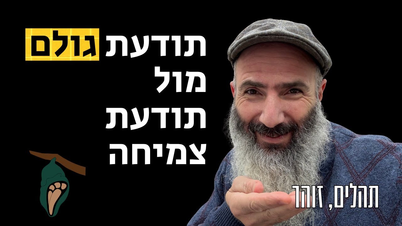 לעבור מתודעת ״גולם״ לתודעת צמיחה - תהלים, זוהר