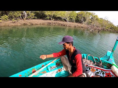 Mangroves Fishing Pittiani Side | Bottom Fishing 2022 | Part 4
