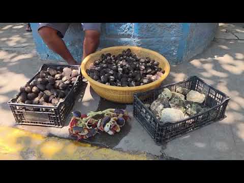 Comercio de marisco en Puerto El Triunfo