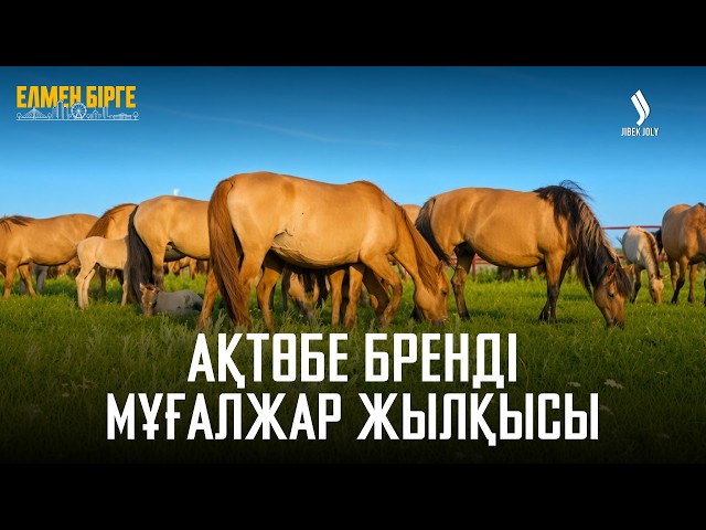 Ақтөбе балмұздағының сұранысы неліктен жоғары?
