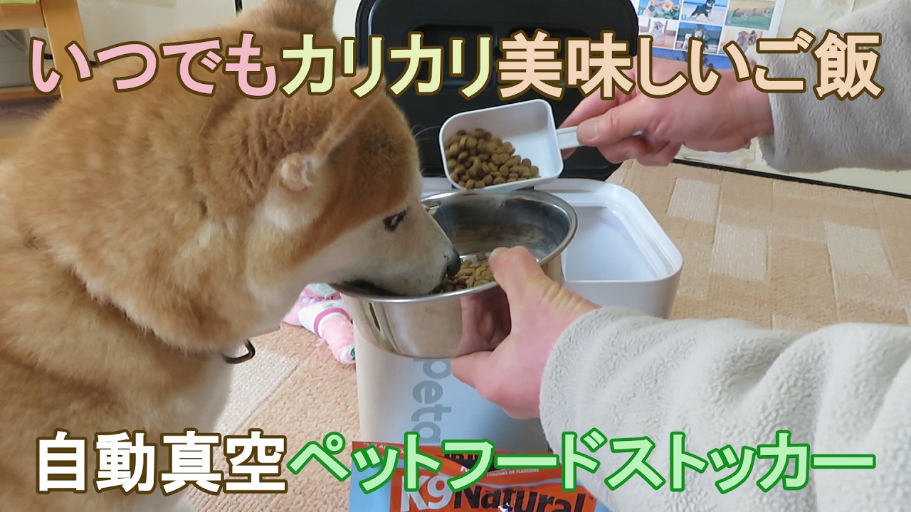 愛犬にいつでもカリカリな美味しいご飯を食べさせたくて...