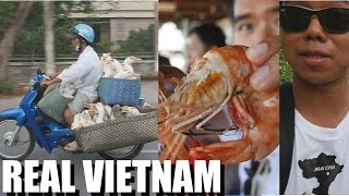 The Best Vietnam Tour Ever: MEKONG DELTA FOR A DAY. daily vlog #16