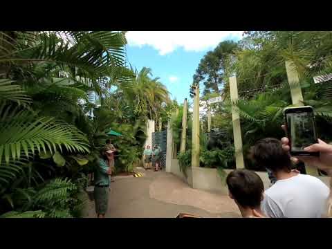 VR180 Universal Raptor encounter Vuze Xr