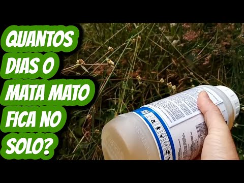 How long does Roundup glyphosate remain in the soil after application? How many days does the her...