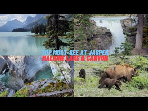 Top 5 Must-See at Jasper: Maligne Lake & Canyon, Athabasca Falls, Medicine Lake & Jasper
