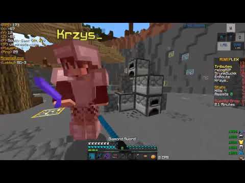 Mineplex SG Montage