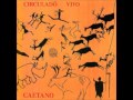 Caetano Veloso - Chega de saudade