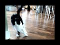 Clawdia Moves At Light Speed