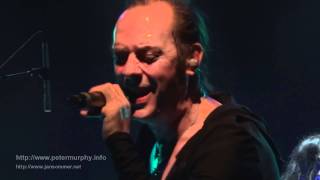 Peter Murphy - The Prince And Old Lady Shade - live in Hamburg 2011 (HD)