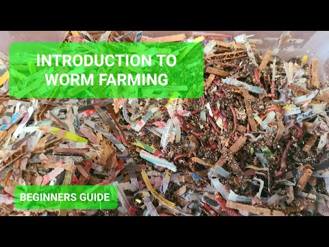 Introduction to Vermicomposting | Beginners Guide For Worm Farming
