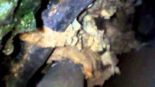 2000 Nissan Frontier Knock Sensor