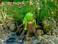 Sesame Street Tadpole Official Instrumental