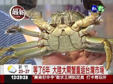 等了六年! 太湖大閘蟹終於抵台