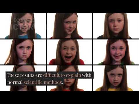 2025年11月24日 (24 tháng 11, 2025)