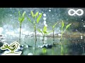 Relaxing Piano Music & Soft Rain Sounds • Background Sleep Music | Raindrops (Extended)