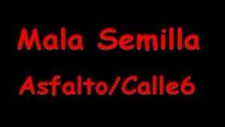 Mala Semilla - Asfalto/Calle6