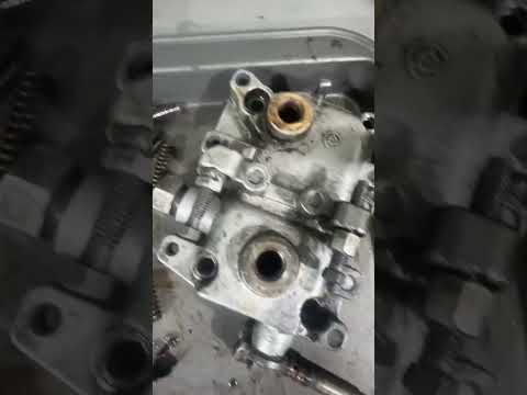 Servidiesel Short 1