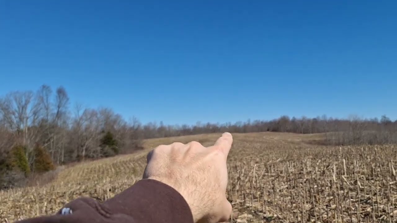 Private Hunting Leases in Ohio County, Kentucky: A Scout's Guide