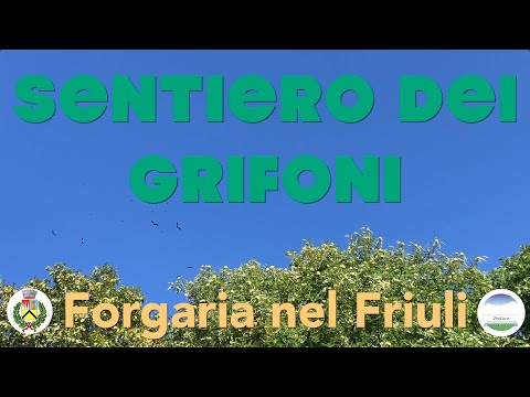 051 FORGARIA NEL FRIULI - il sentiero dei grifoni sul lago di Cornino