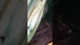 How to replace a o2 sensor on a Lexus GS 300. Part 1