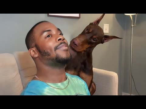 Call Your Dog's Name When They Are Next To You 🐶