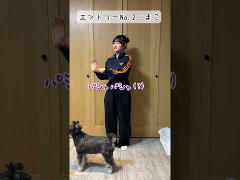 ろこまこあこ家で流行ってる一発ギャグの爽健美茶選手権やってみたwww#Shorts