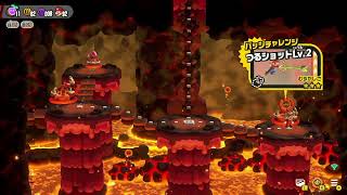 スーパーマリオブラザーズワンダーW5